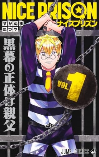 NICE PRISON のカバー画像
